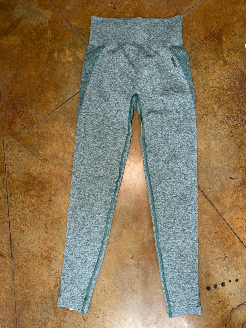 Gym shark Leggings